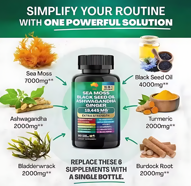 Sea Moss, Black Seed Oil, Ashwagandha, Ginger