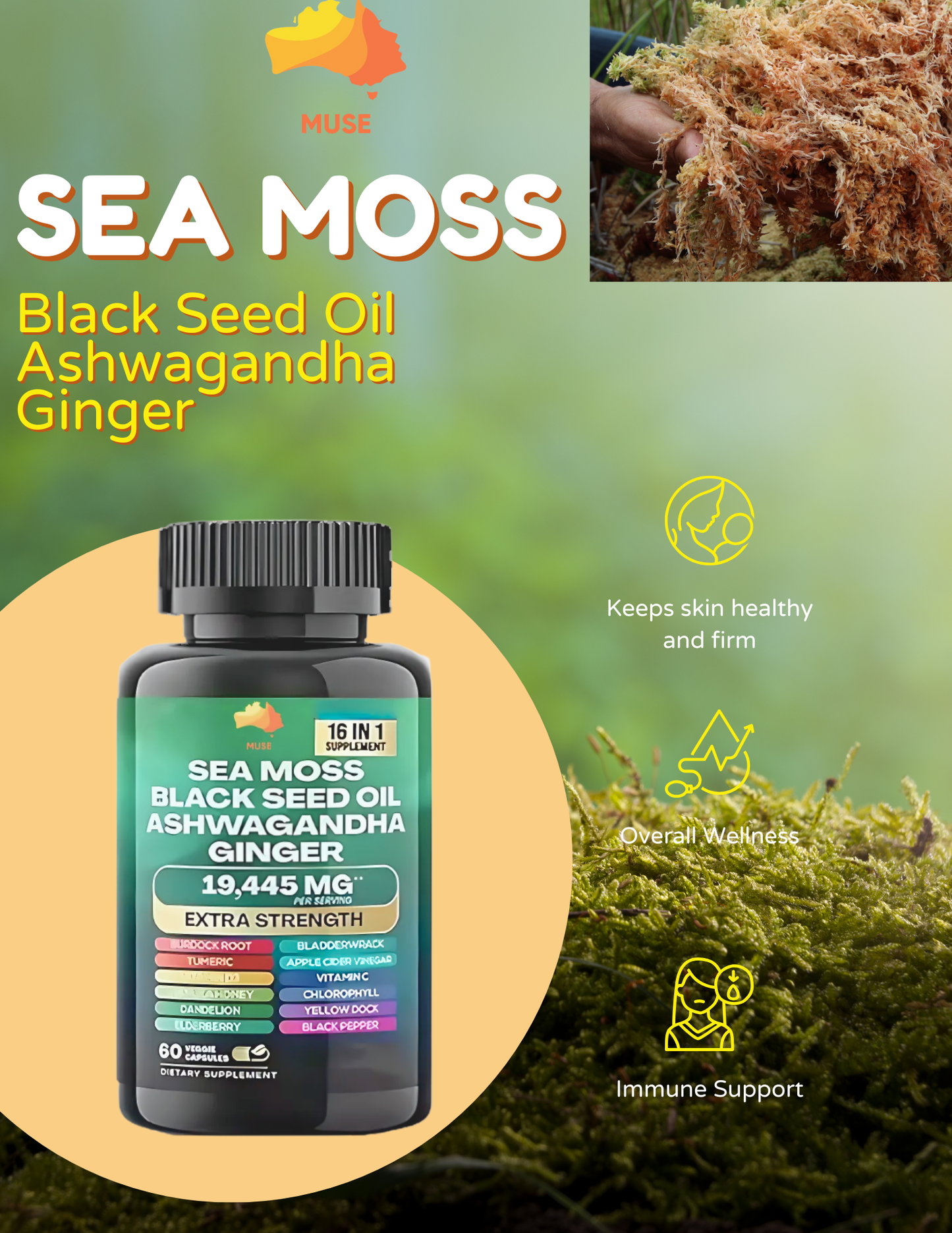 Sea Moss, Black Seed Oil, Ashwagandha, Ginger