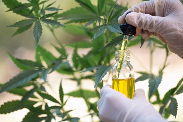 Why CBD Is Replacing Pharmaceutical Medicine!
