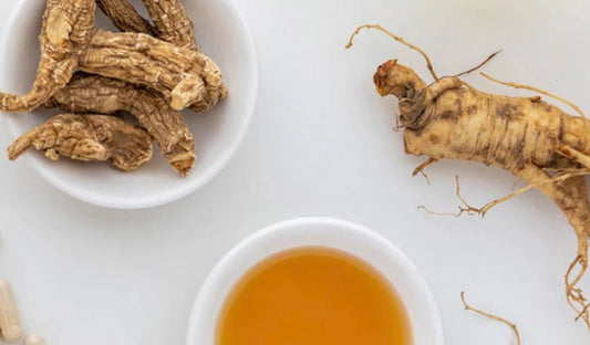 Burmeister- Ginseng/