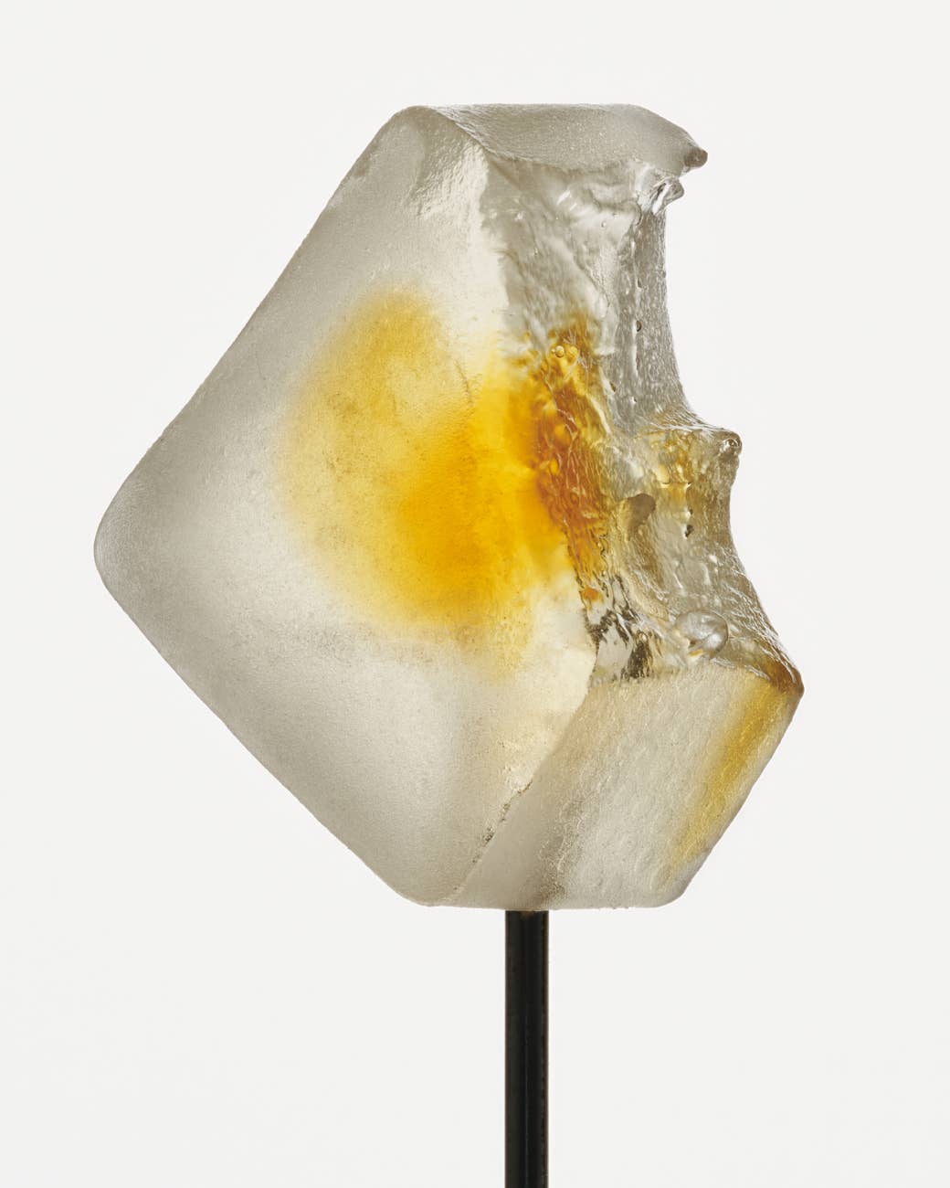 NOON Focus Mushroom Gummy Delights